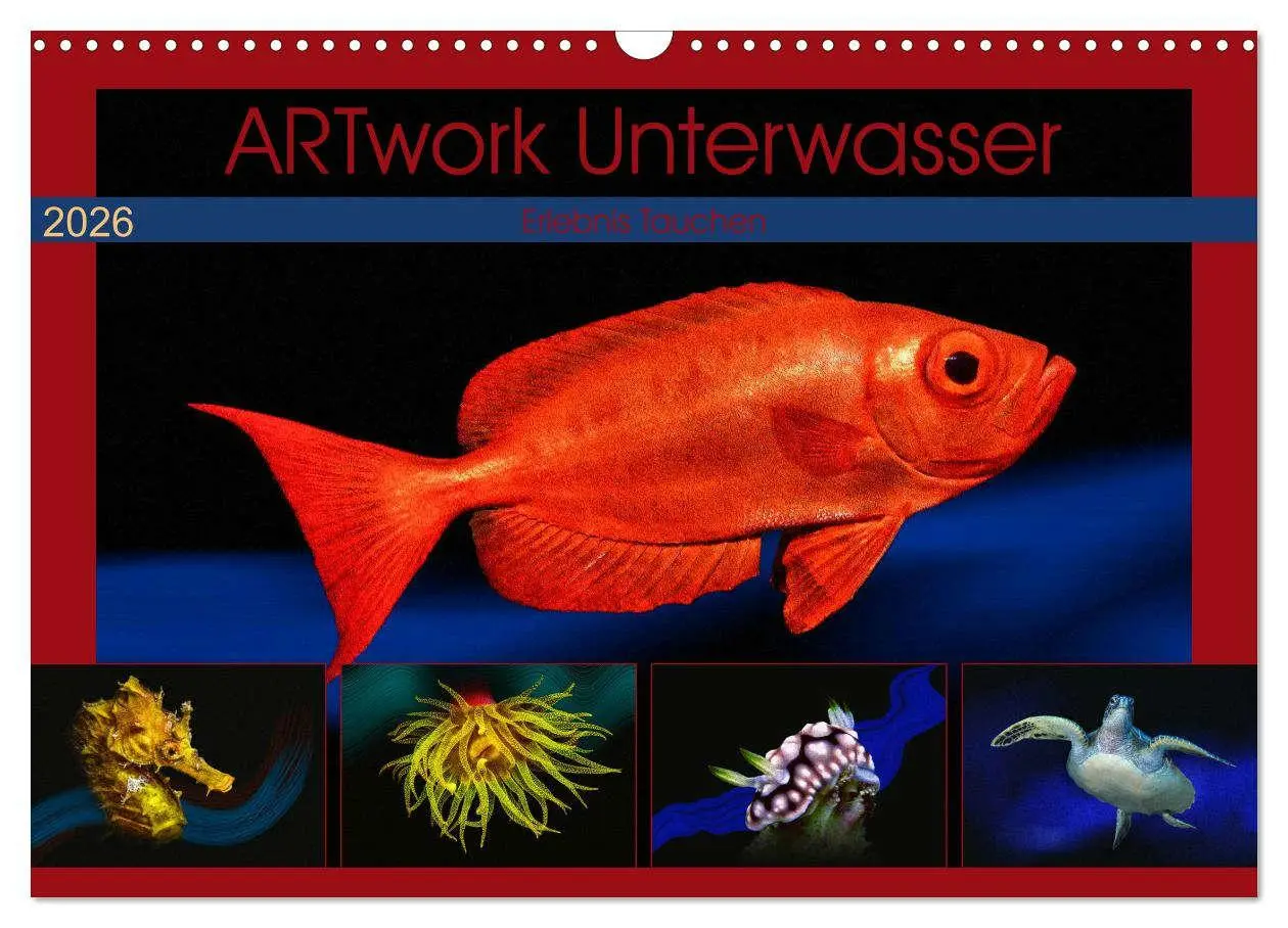 Cover: 9783457864265 | Artwork Unterwasser - Erlebnis Tauchen (Wandkalender 2026 DIN A3...