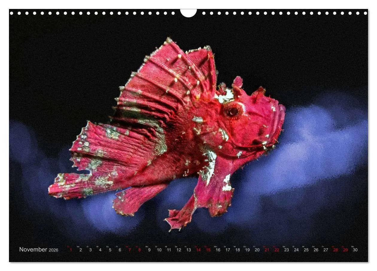 Bild: 9783457864265 | Artwork Unterwasser - Erlebnis Tauchen (Wandkalender 2026 DIN A3...