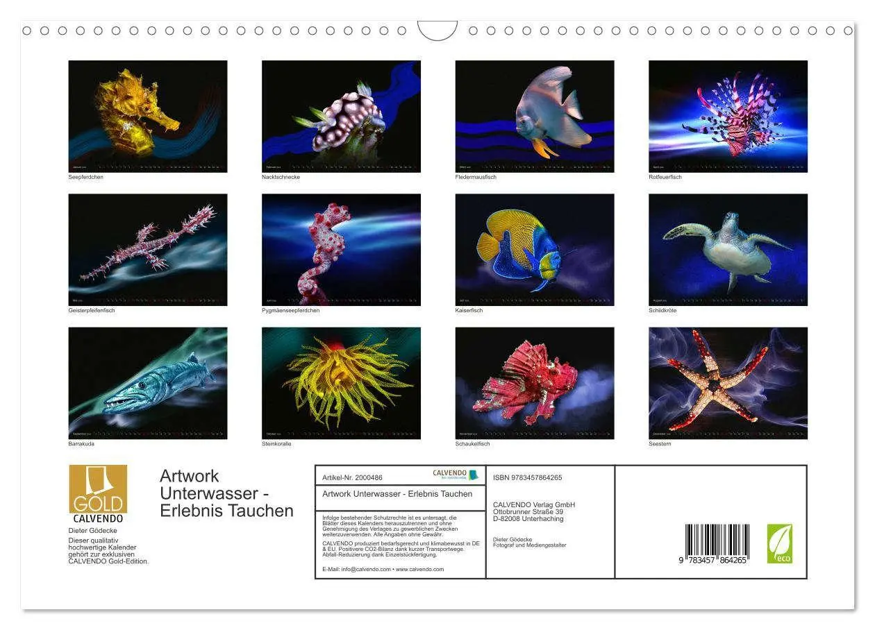 Bild: 9783457864265 | Artwork Unterwasser - Erlebnis Tauchen (Wandkalender 2026 DIN A3...