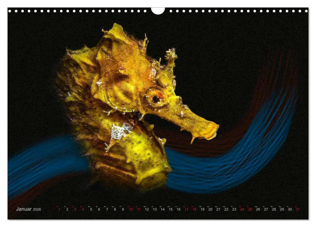Bild: 9783457864265 | Artwork Unterwasser - Erlebnis Tauchen (Wandkalender 2026 DIN A3...