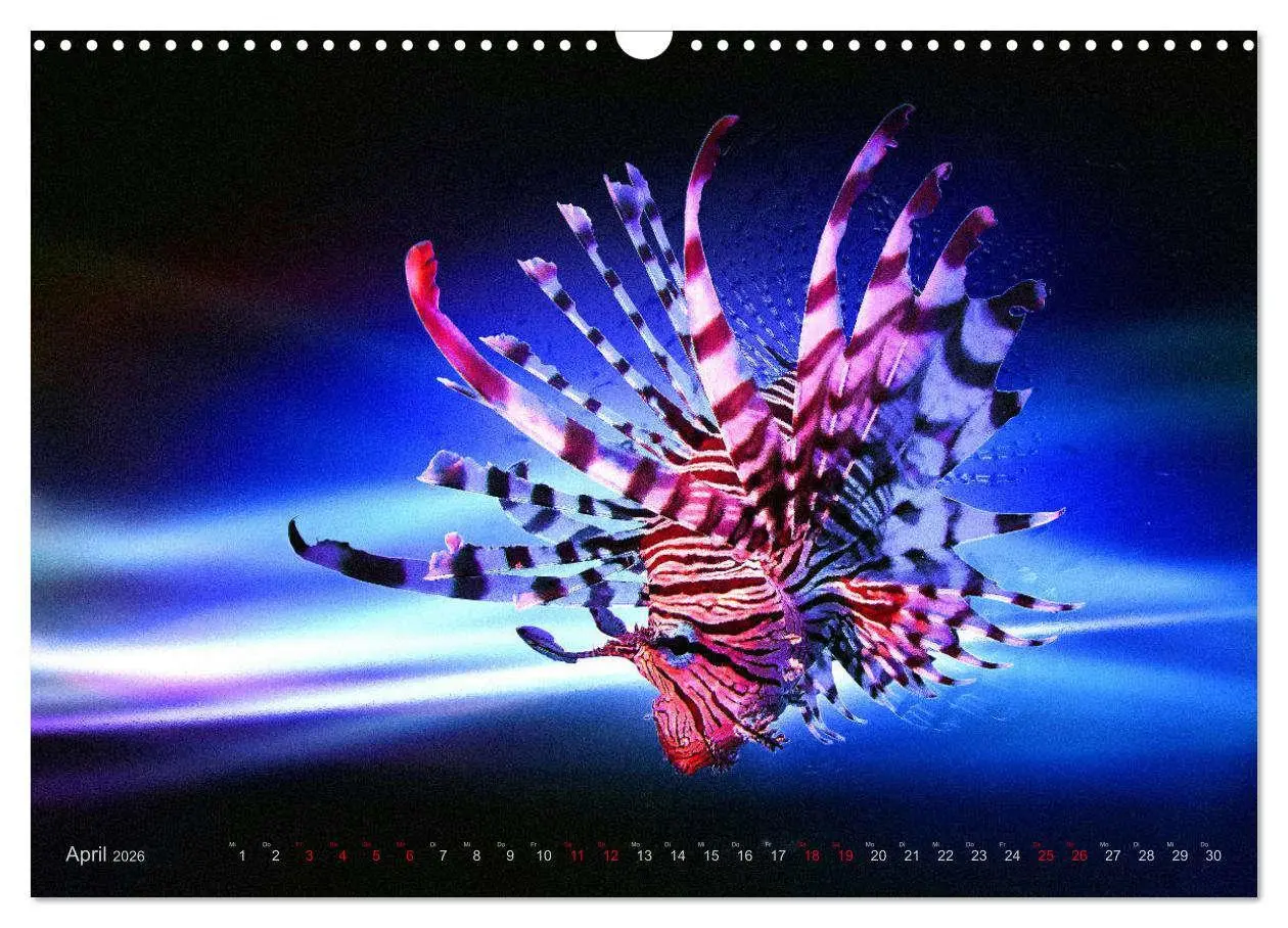 Bild: 9783457864265 | Artwork Unterwasser - Erlebnis Tauchen (Wandkalender 2026 DIN A3...