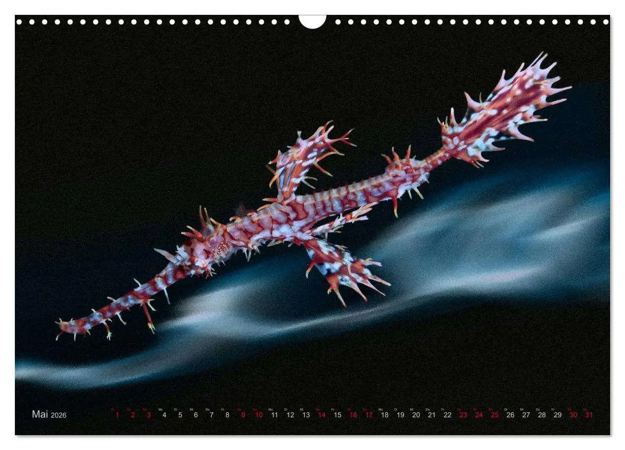 Bild: 9783457864265 | Artwork Unterwasser - Erlebnis Tauchen (Wandkalender 2026 DIN A3...
