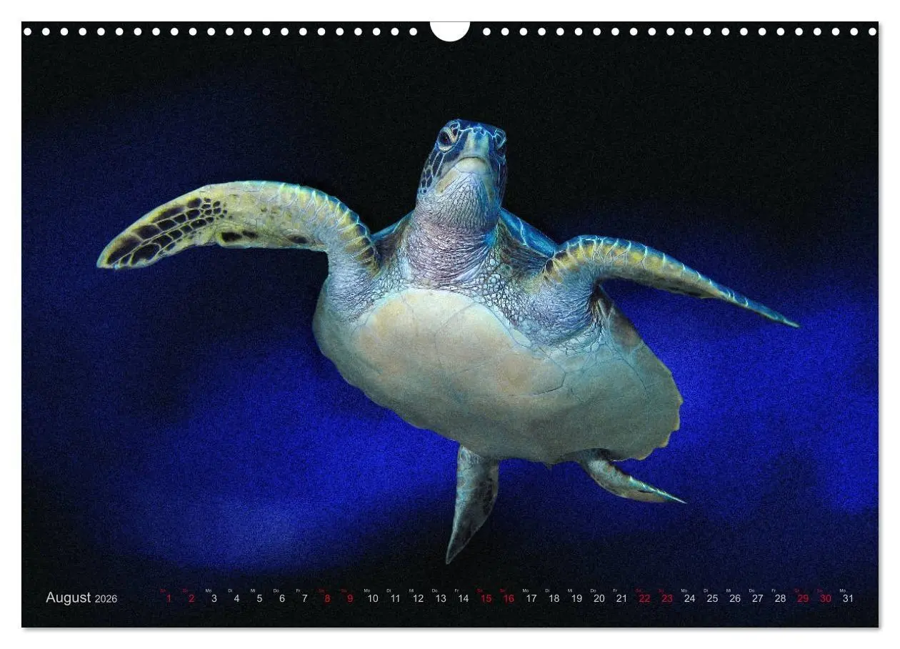 Bild: 9783457864265 | Artwork Unterwasser - Erlebnis Tauchen (Wandkalender 2026 DIN A3...