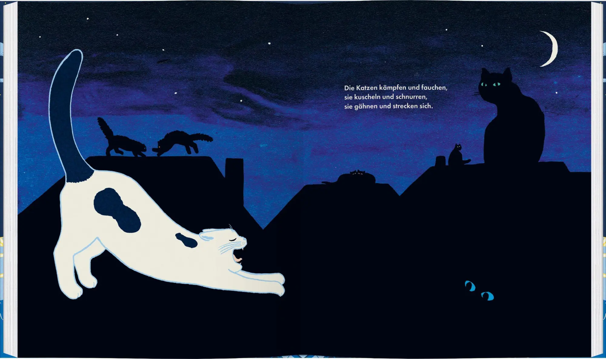 Bild: 9783836964265 | Mit Katze durch die Nacht | Yoko Heiligers | Buch | 64 S. | Deutsch