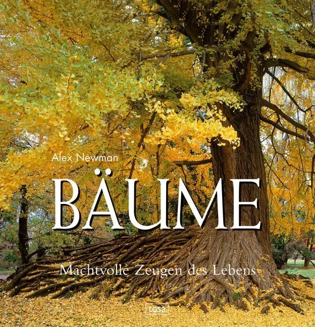 Cover: 9783850034265 | Bäume | Machtvolle Zeugen des Lebens | Alex Newman | Buch | 200 S.