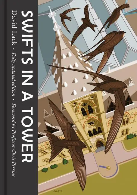 Cover: 9781911604365 | Swifts in a Tower | David Lack | Buch | Gebunden | Englisch | 2018
