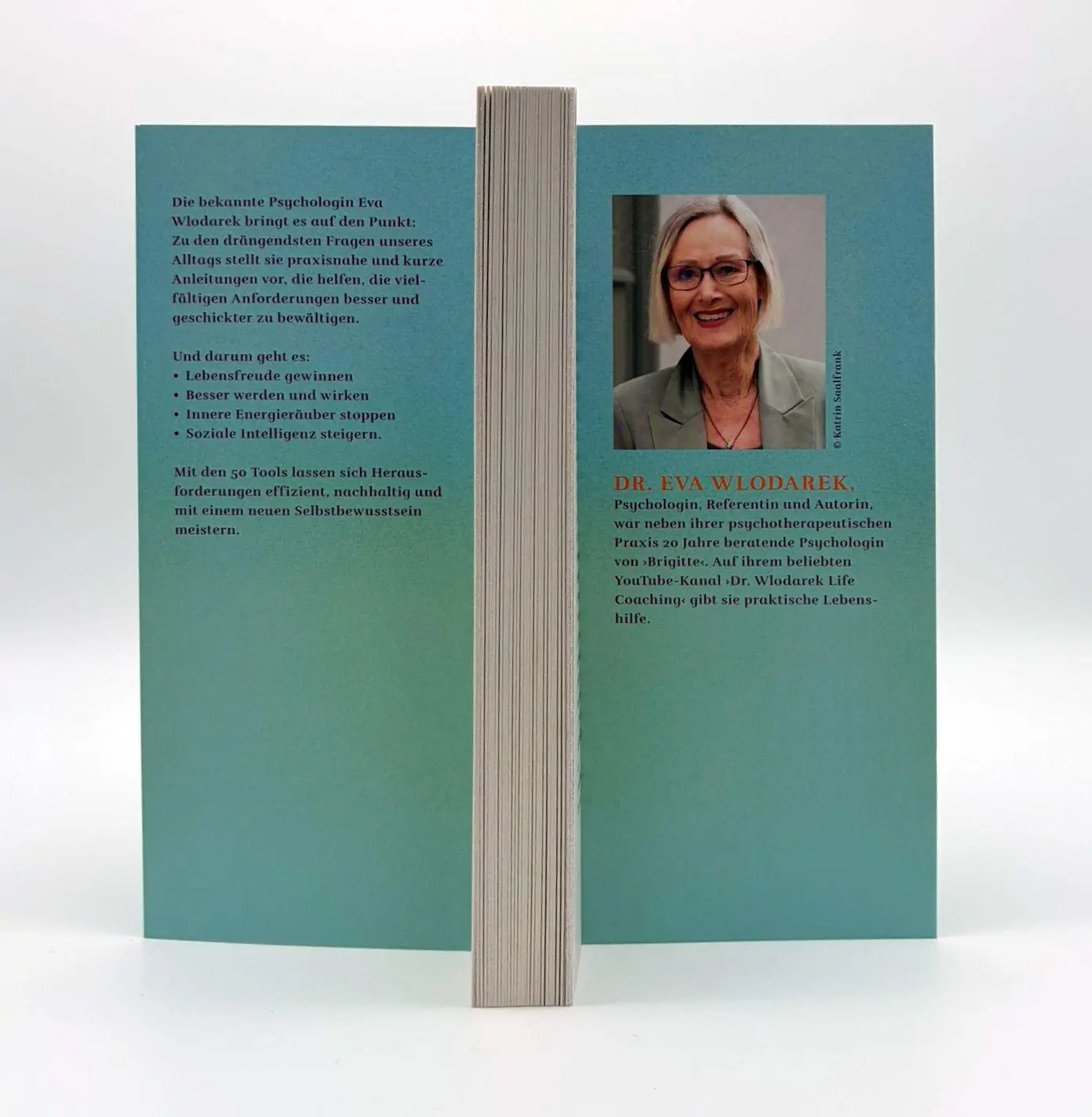 Bild: 9783423264365 | 50 Tools | Eva Wlodarek | Taschenbuch | 224 S. | Deutsch | 2025