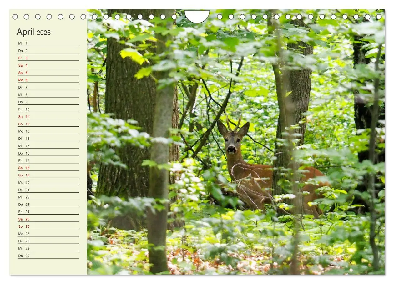 Bild: 9783457914465 | Ländliche Idylle zwischen Erzgebirge und Muldental (Wandkalender...