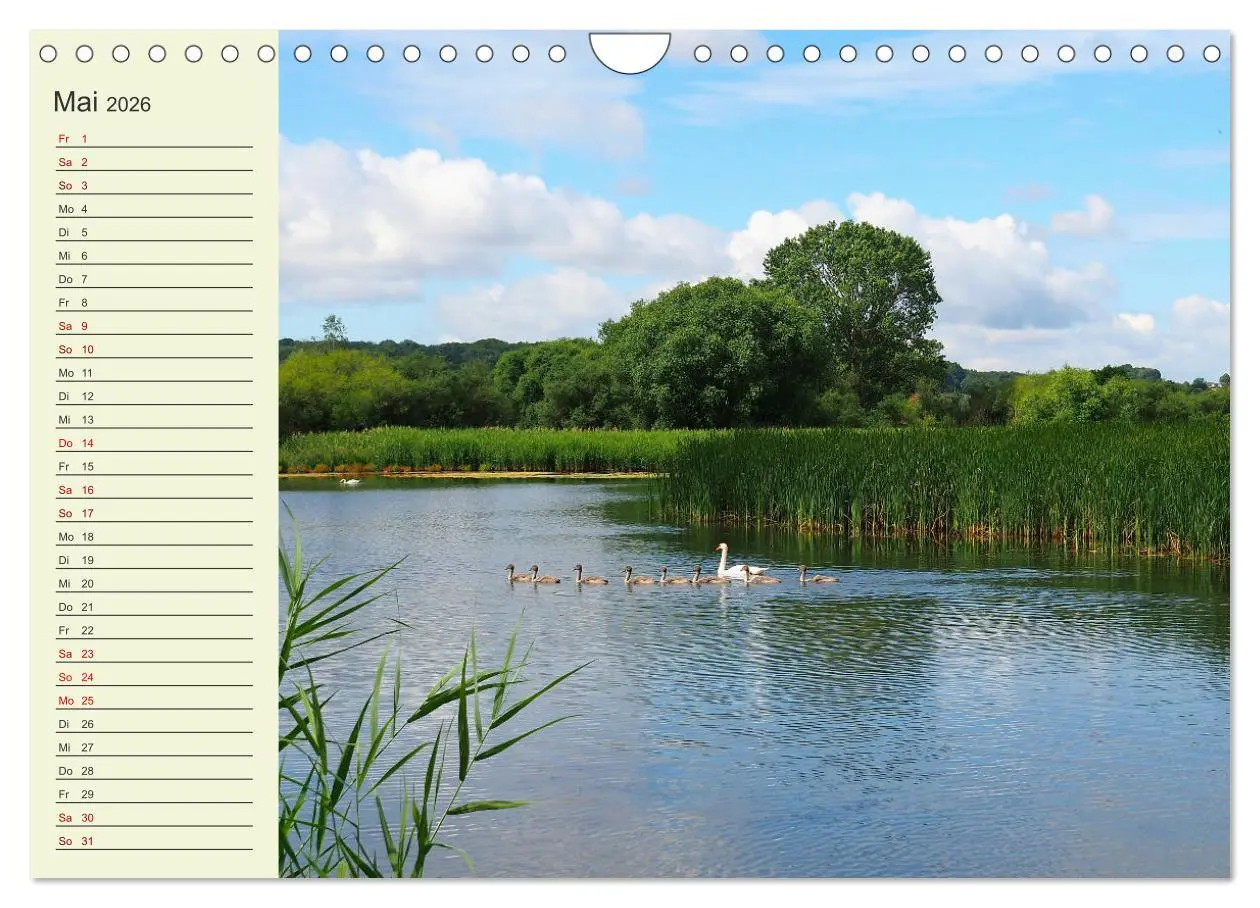Bild: 9783457914465 | Ländliche Idylle zwischen Erzgebirge und Muldental (Wandkalender...