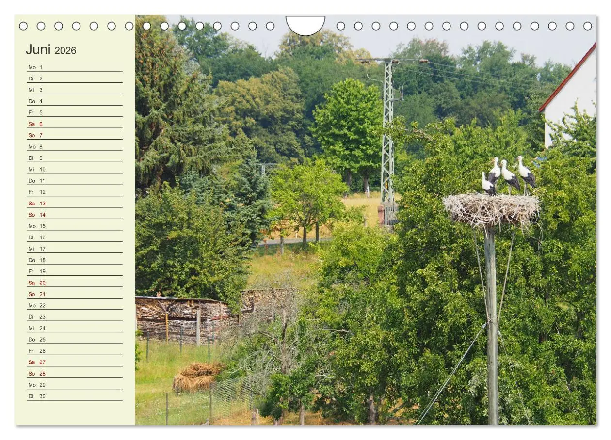 Bild: 9783457914465 | Ländliche Idylle zwischen Erzgebirge und Muldental (Wandkalender...