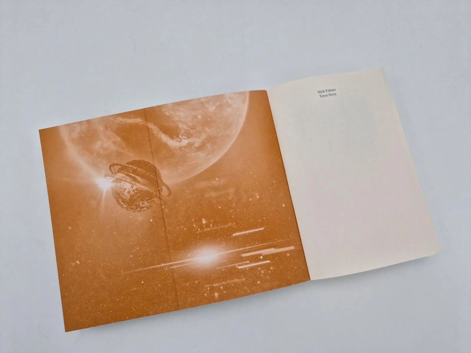 Bild: 9783492704465 | Terra Nova | Nick Palmer | Taschenbuch | 320 S. | Deutsch | 2026