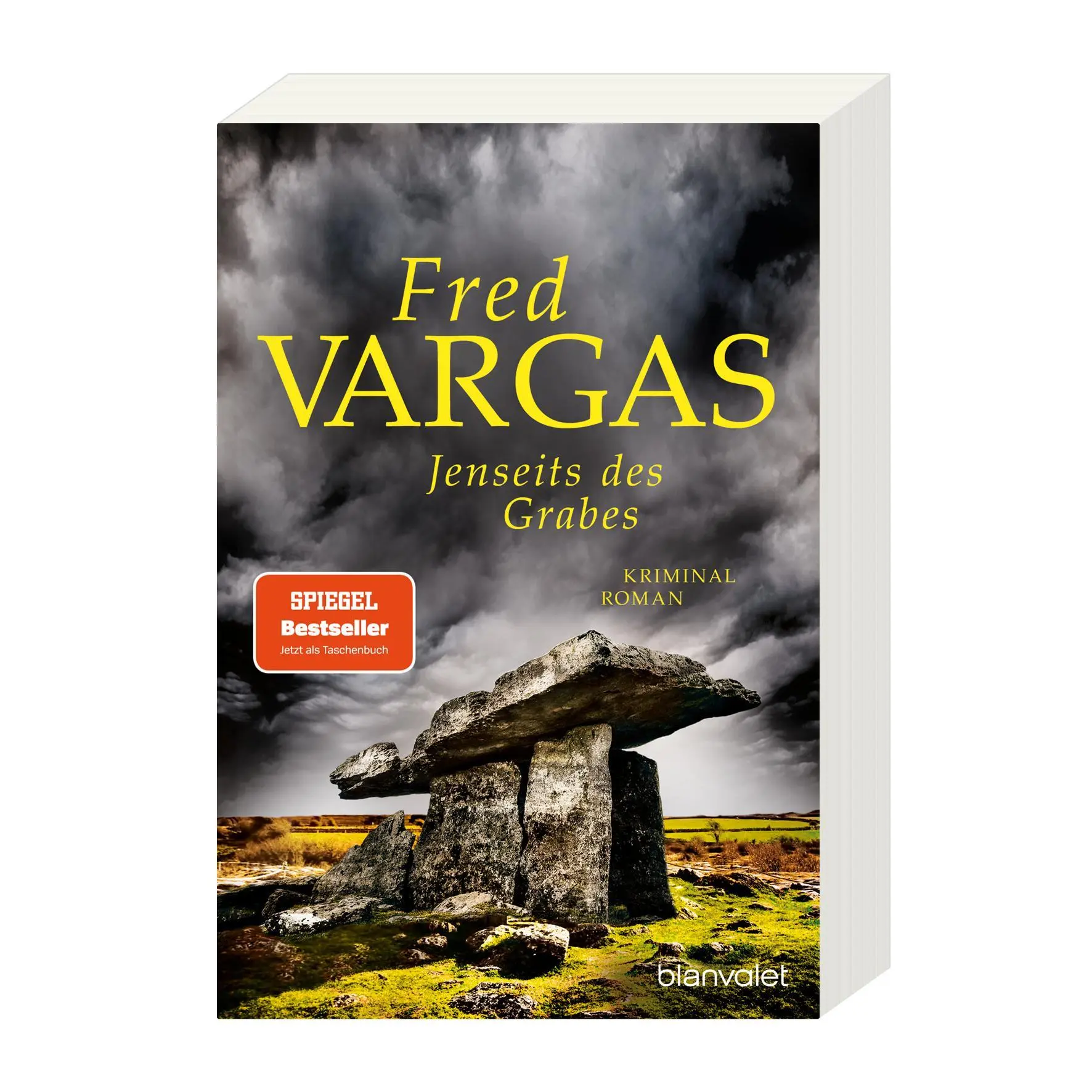 Bild: 9783734114465 | Jenseits des Grabes | Fred Vargas | Taschenbuch | 528 S. | Deutsch