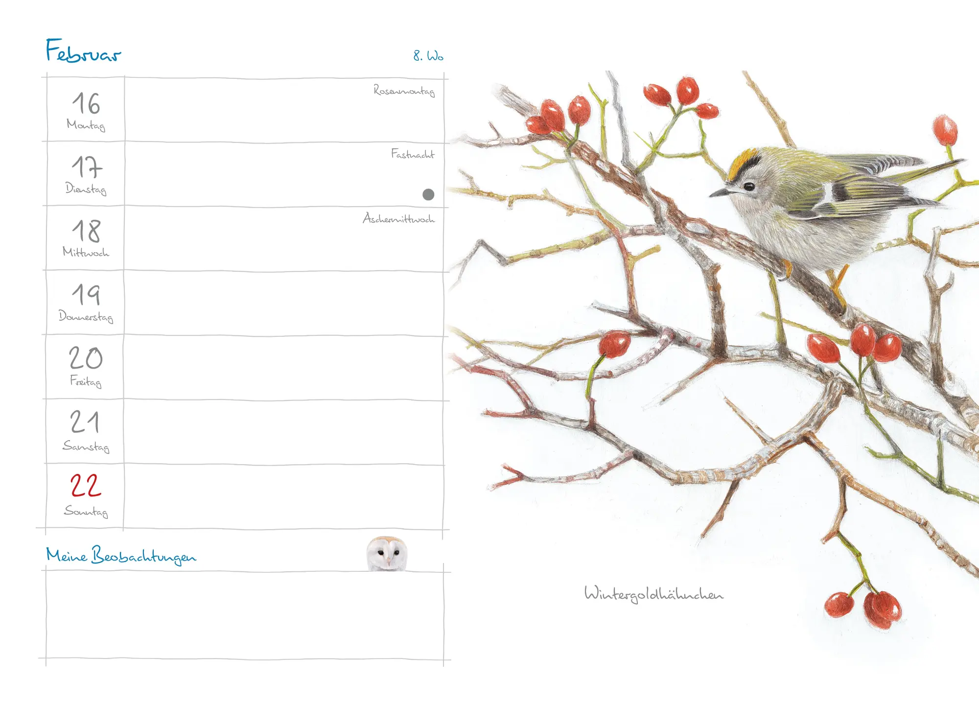 Bild: 9783895664465 | Mein Naturkalender 2026 | Naturillustrationen von Christopher Schmidt