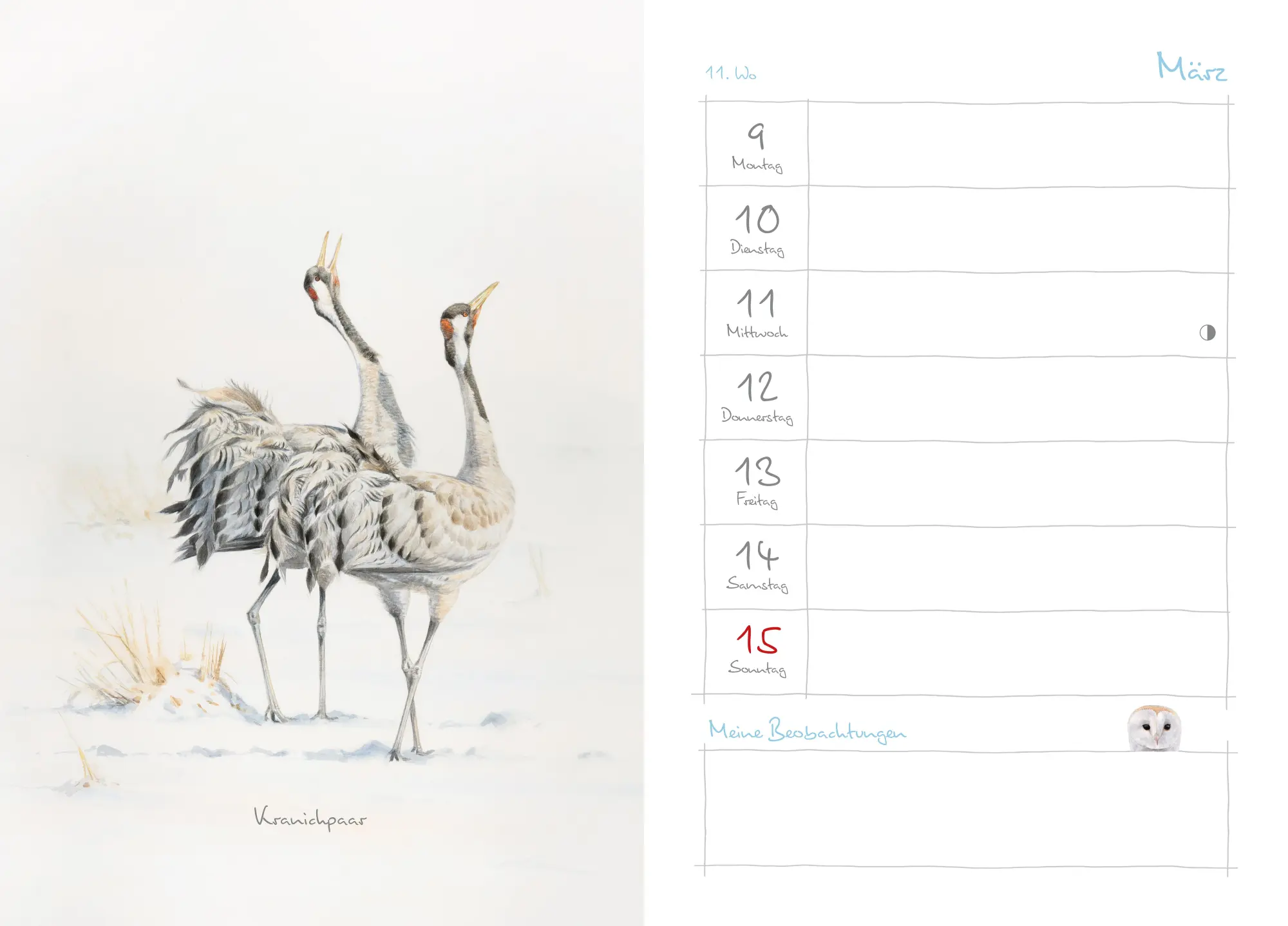 Bild: 9783895664465 | Mein Naturkalender 2026 | Naturillustrationen von Christopher Schmidt