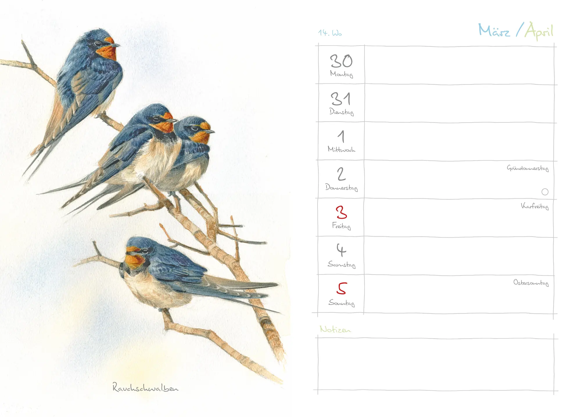 Bild: 9783895664465 | Mein Naturkalender 2026 | Naturillustrationen von Christopher Schmidt