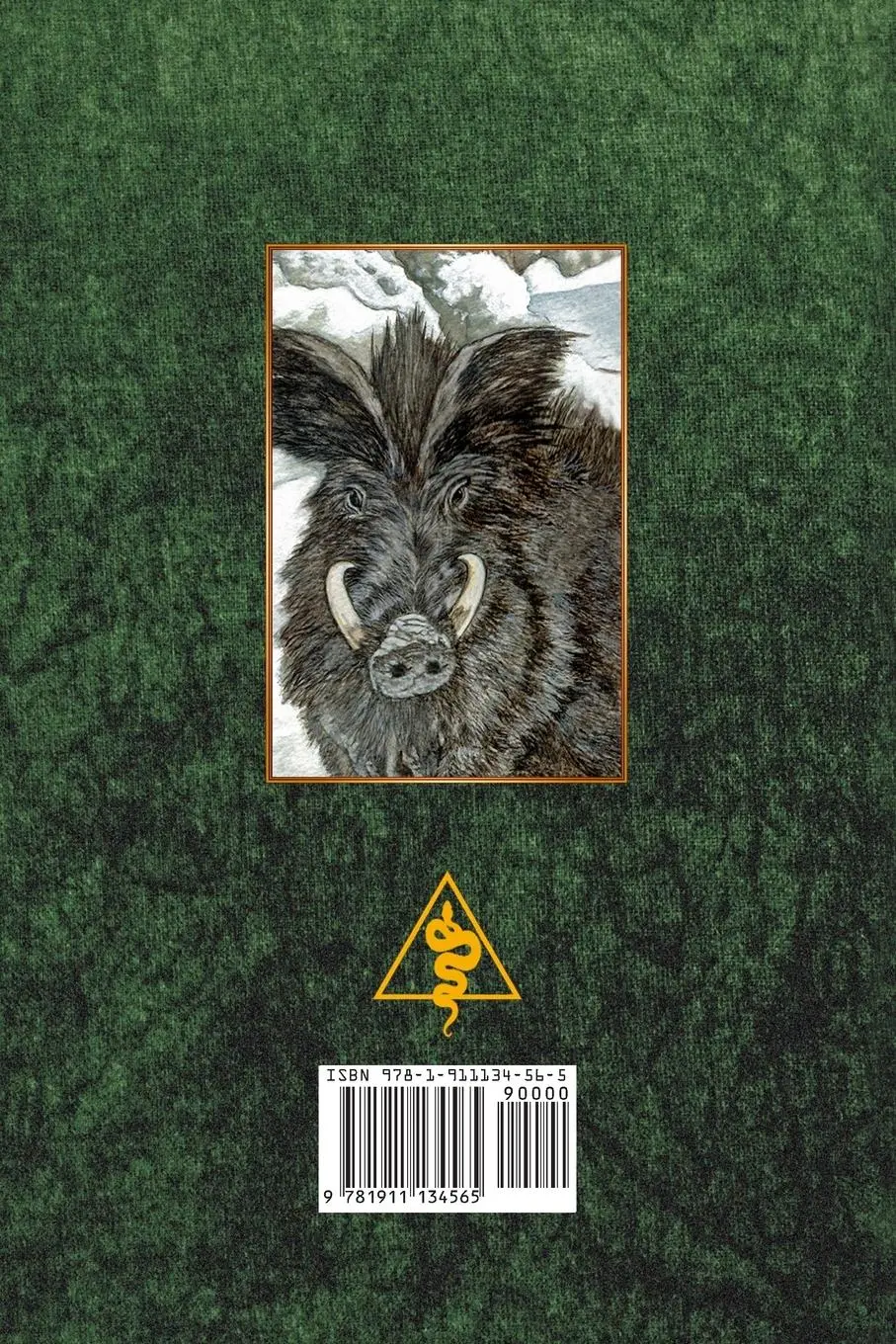 Rückseite: 9781911134565 | Magic of the North Gate | Josephine Mccarthy | Taschenbuch | Englisch