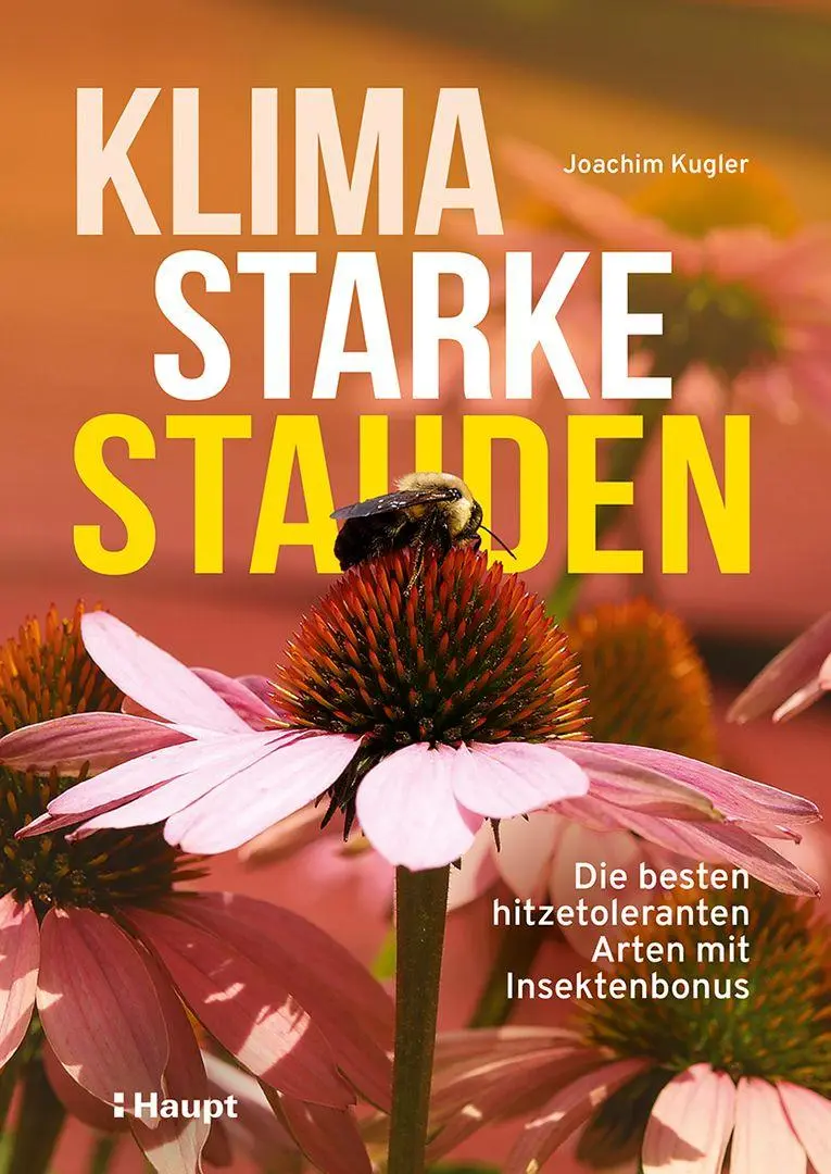 Cover: 9783258084565 | Klimastarke Stauden | Joachim Kugler | Taschenbuch | 168 S. | Deutsch