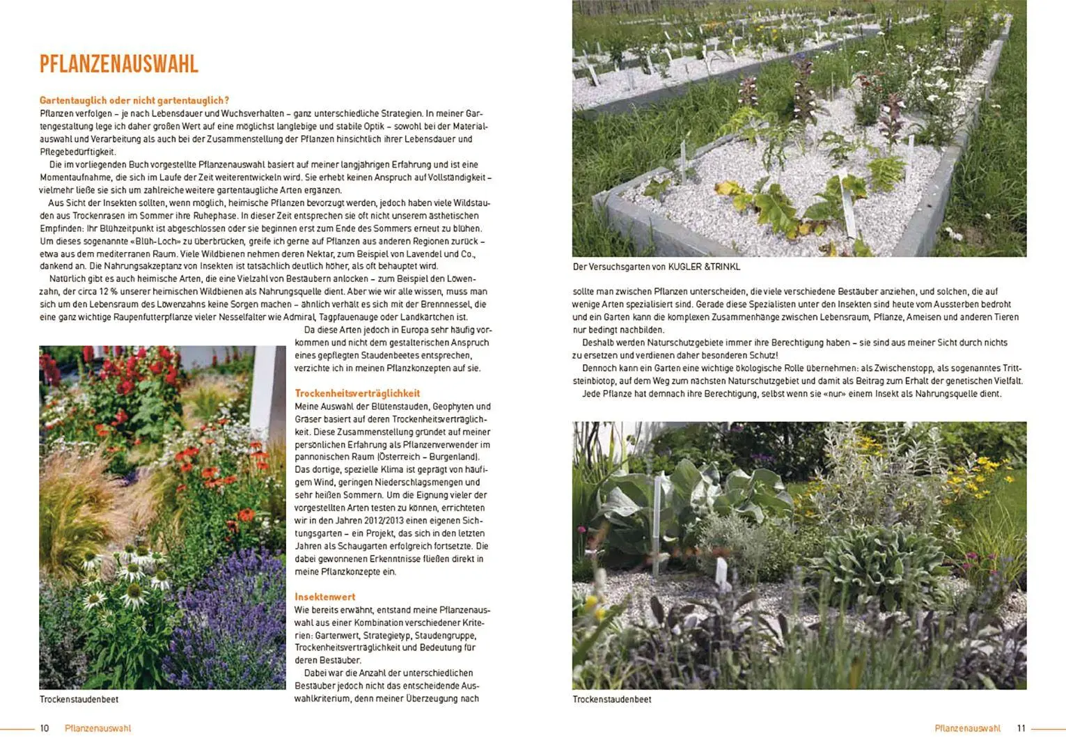 Bild: 9783258084565 | Klimastarke Stauden | Joachim Kugler | Taschenbuch | 168 S. | Deutsch