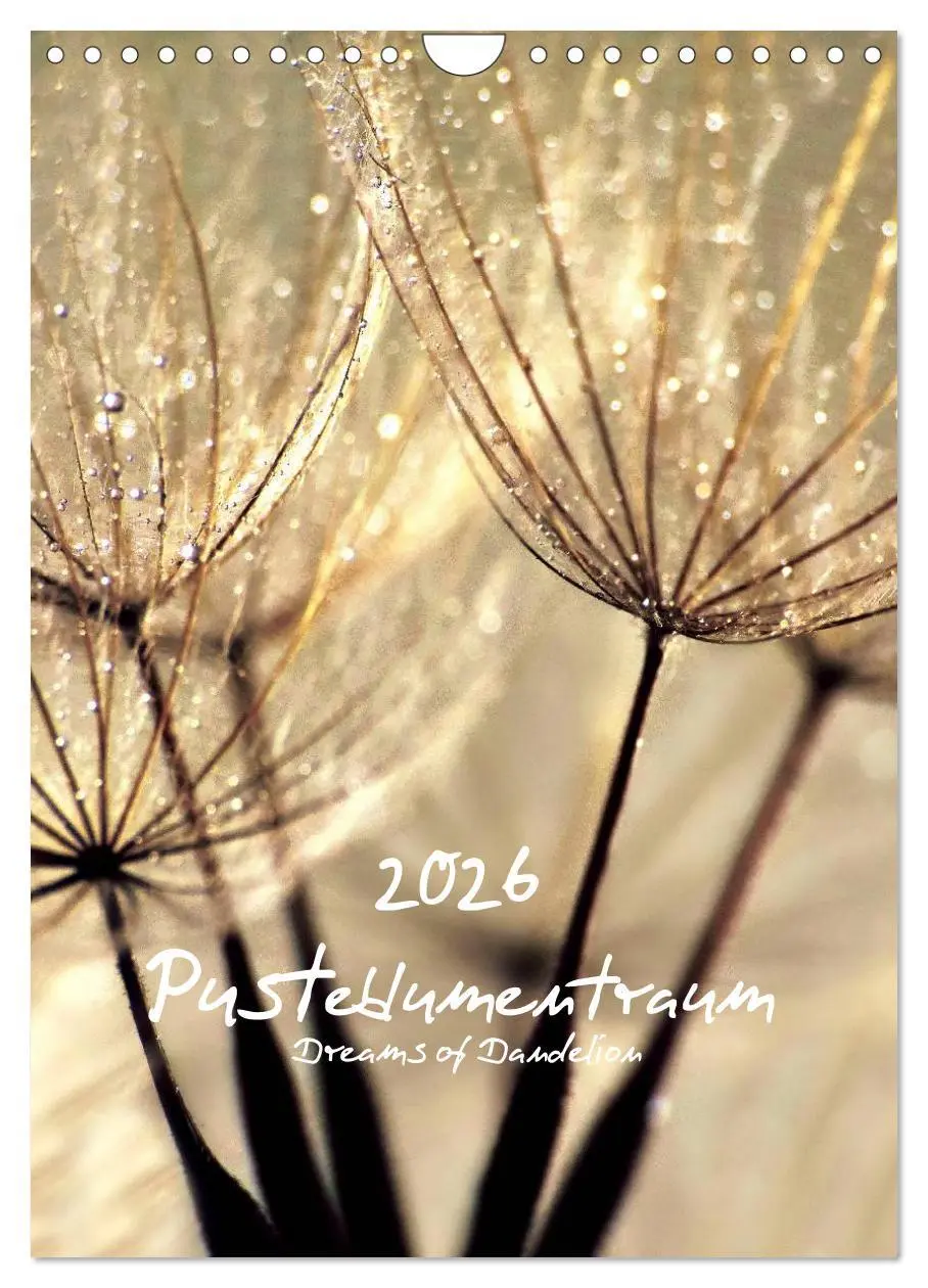 Cover: 9783516474565 | Pusteblumentraum - Dreams of Dandelion (Wandkalender 2026 DIN A4...
