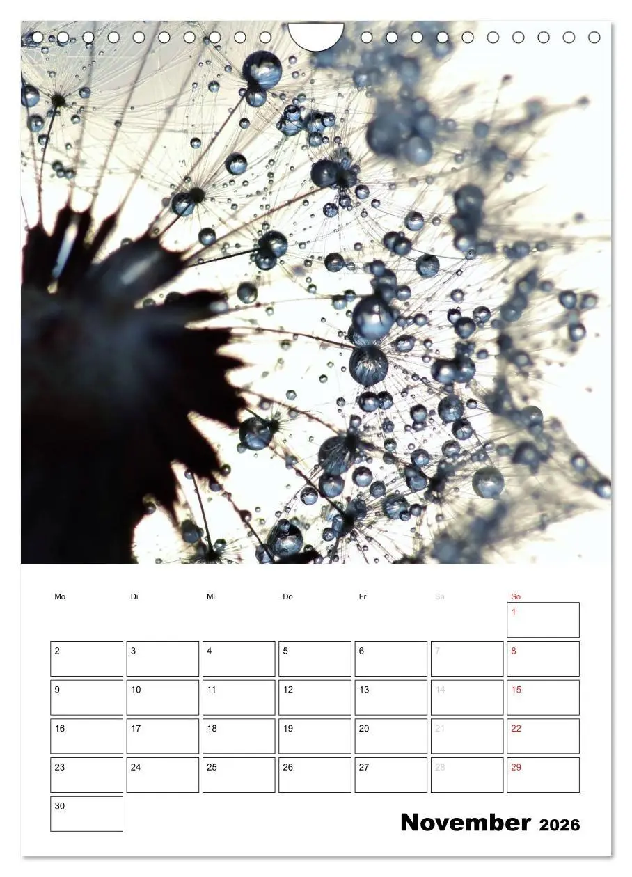 Bild: 9783516474565 | Pusteblumentraum - Dreams of Dandelion (Wandkalender 2026 DIN A4...