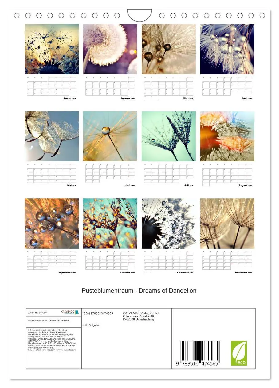 Bild: 9783516474565 | Pusteblumentraum - Dreams of Dandelion (Wandkalender 2026 DIN A4...