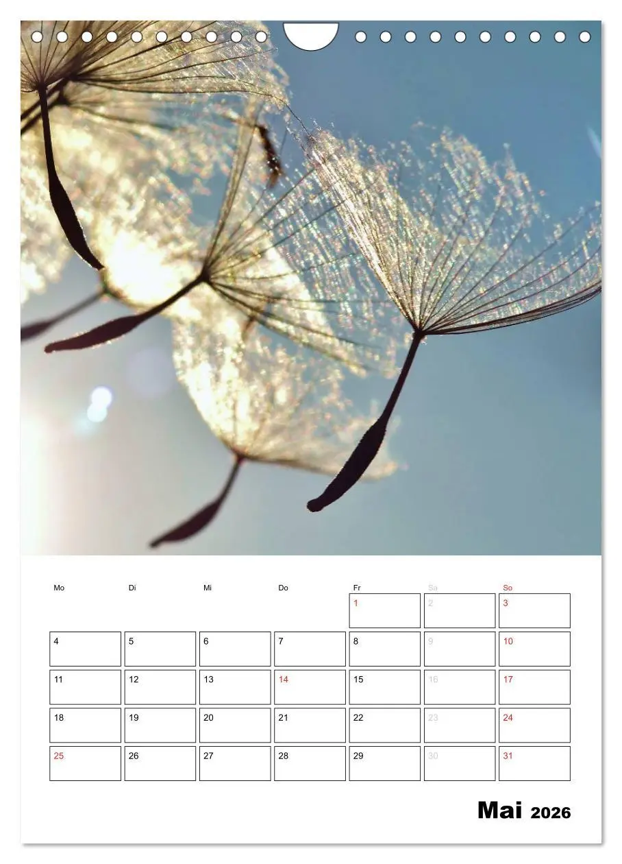 Bild: 9783516474565 | Pusteblumentraum - Dreams of Dandelion (Wandkalender 2026 DIN A4...