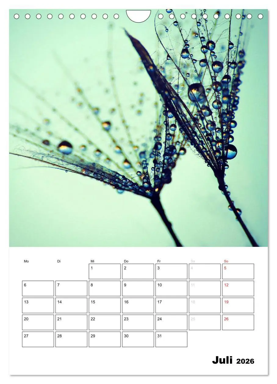 Bild: 9783516474565 | Pusteblumentraum - Dreams of Dandelion (Wandkalender 2026 DIN A4...
