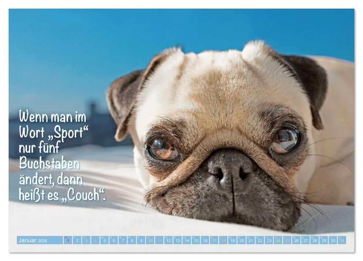 Bild: 9783516614565 | Lächeln mit Mops (hochwertiger Premium Wandkalender 2026 DIN A2...