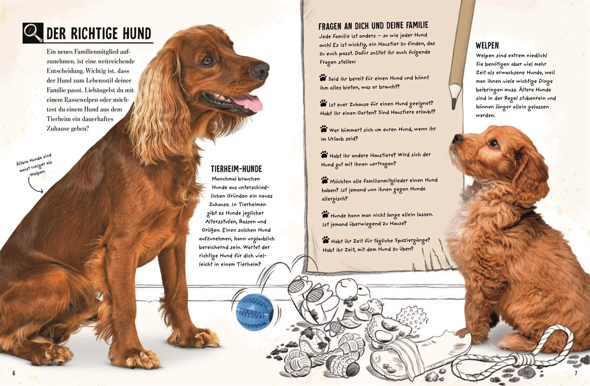 Bild: 9783831054565 | Mein Hund | Jess French | Buch | 56 S. | Deutsch | 2026