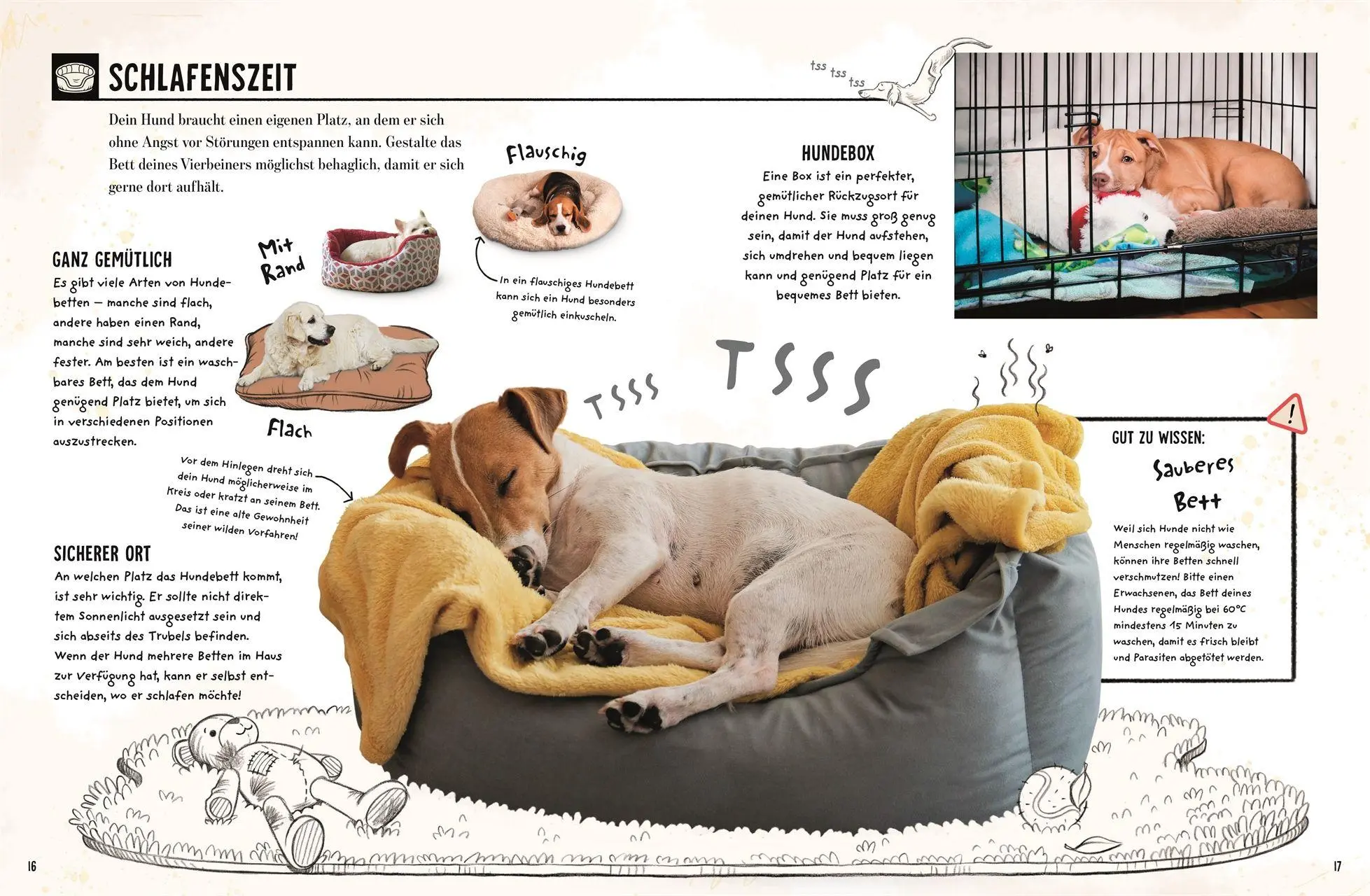 Bild: 9783831054565 | Mein Hund | Jess French | Buch | 56 S. | Deutsch | 2026