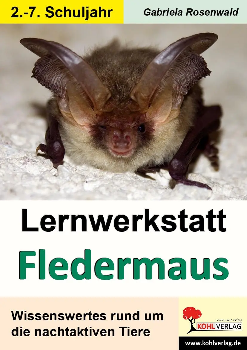 Cover: 9783866324565 | Lernwerkstatt Die Fledermaus | Gabriela Rosenwald | Taschenbuch | 2012 Cover: 9783866324565 | Lernwerkstatt Die Fledermaus | Gabriela Rosenwald | Taschenbuch | 2012
