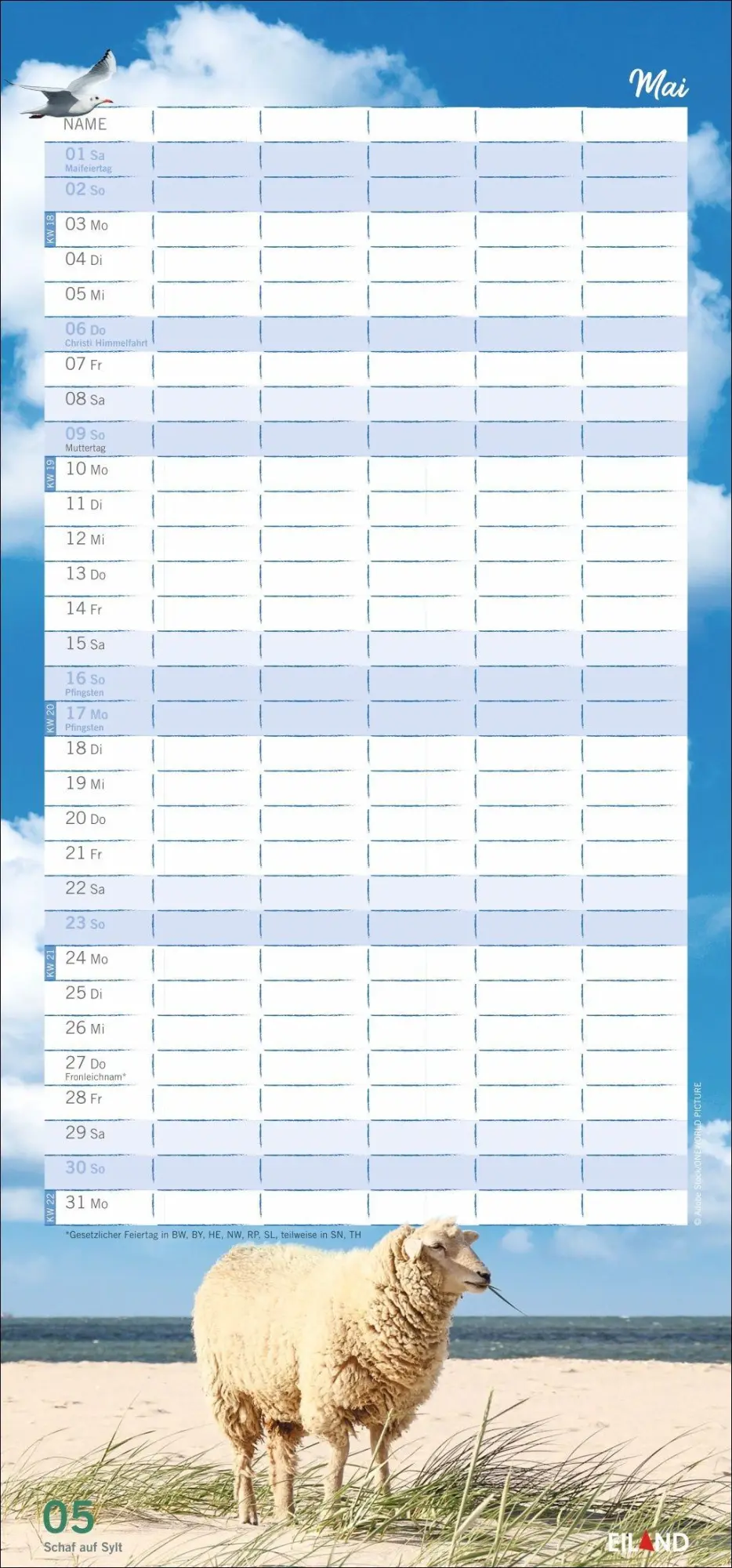 Bild: 9783964024565 | Meerzeit Familienplaner 2027 | Kalender | Familienplaner Eiland | 2027