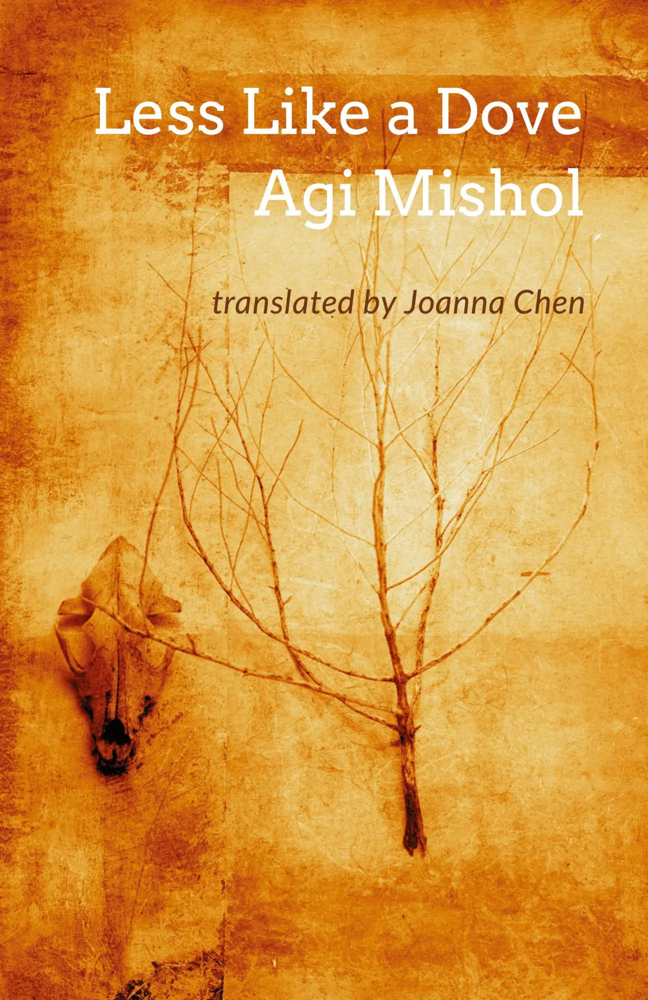 Cover: 9781848614765 | Less Like a Dove | Agi Mishol | Taschenbuch | Kartoniert / Broschiert