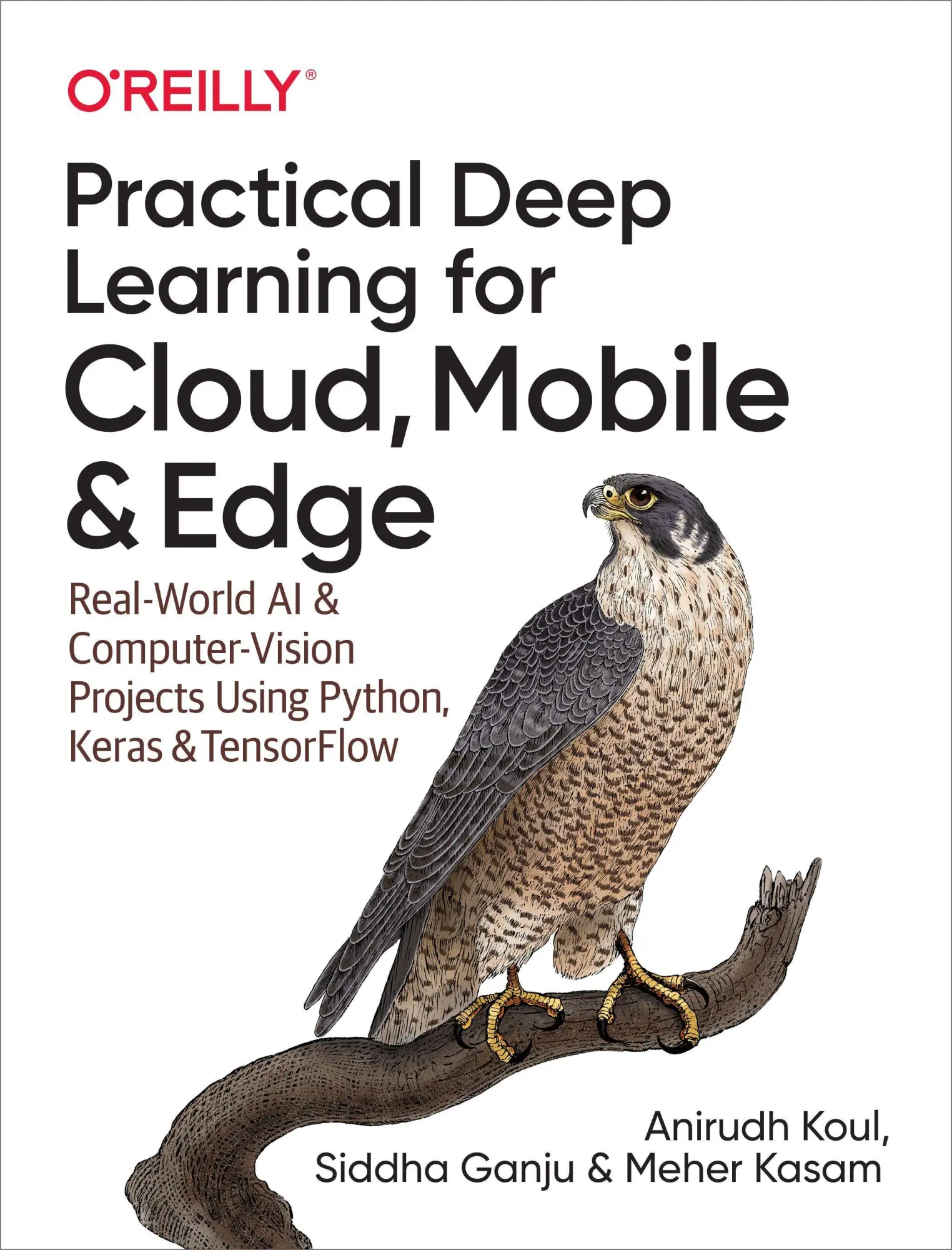 Cover: 9781492034865 | Practical Deep Learning for Cloud, Mobile, and Edge | Koul (u. a.)