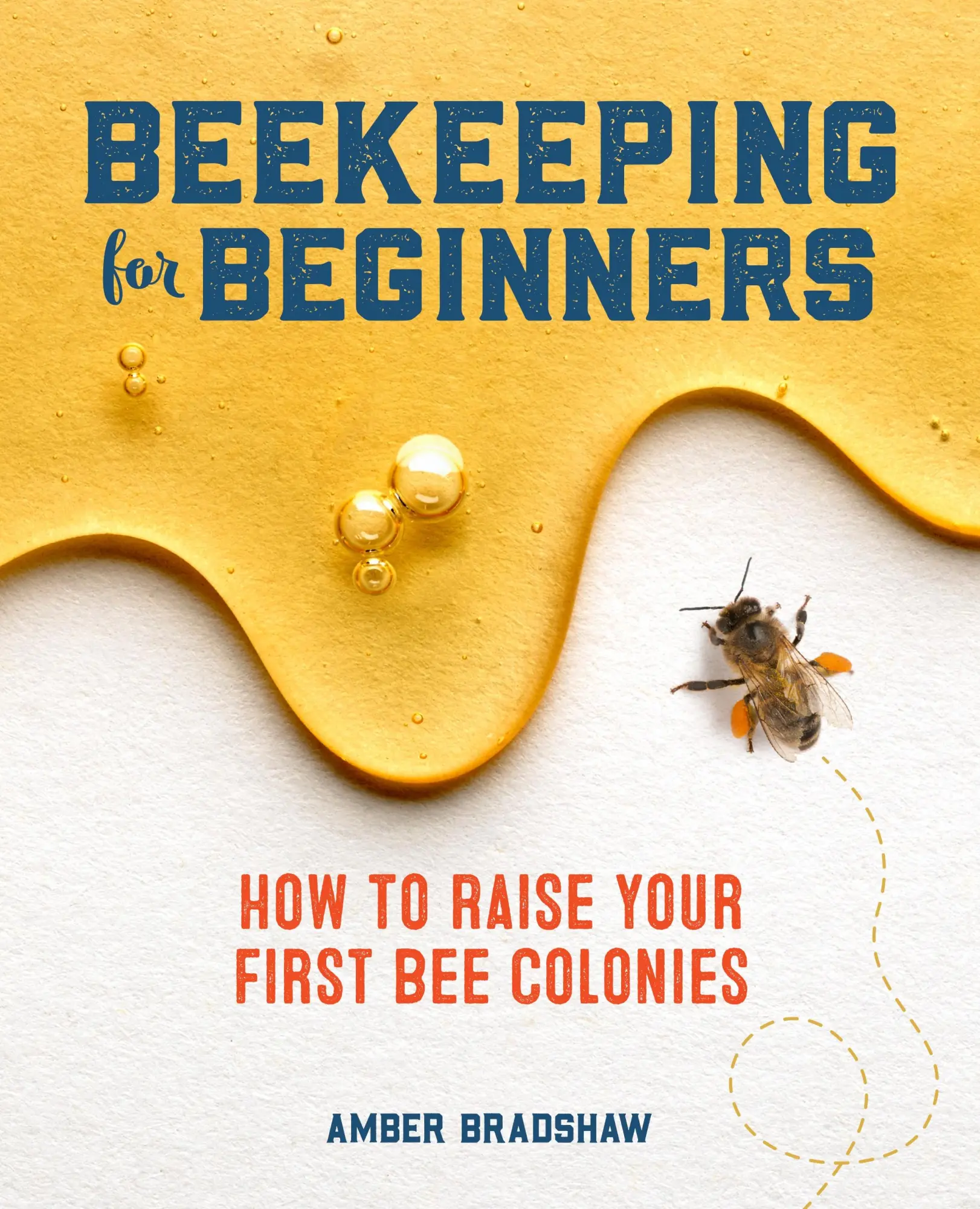 Cover: 9781641524865 | Beekeeping for Beginners | How to Raise Your First Bee Colonies | Buch