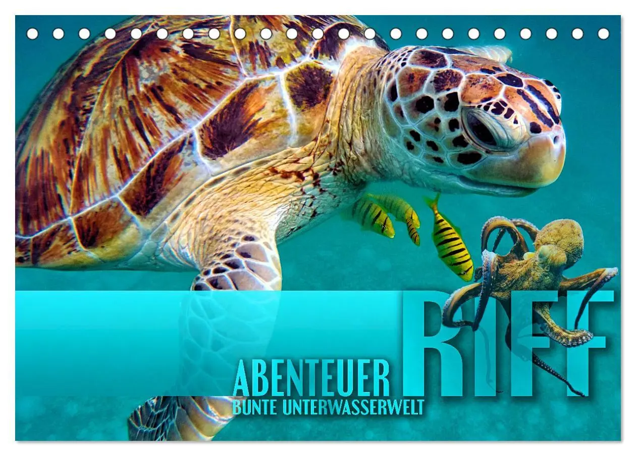 Cover: 9783457594865 | Abenteuer Riff - bunte Unterwasserwelt (Tischkalender 2026 DIN A5...
