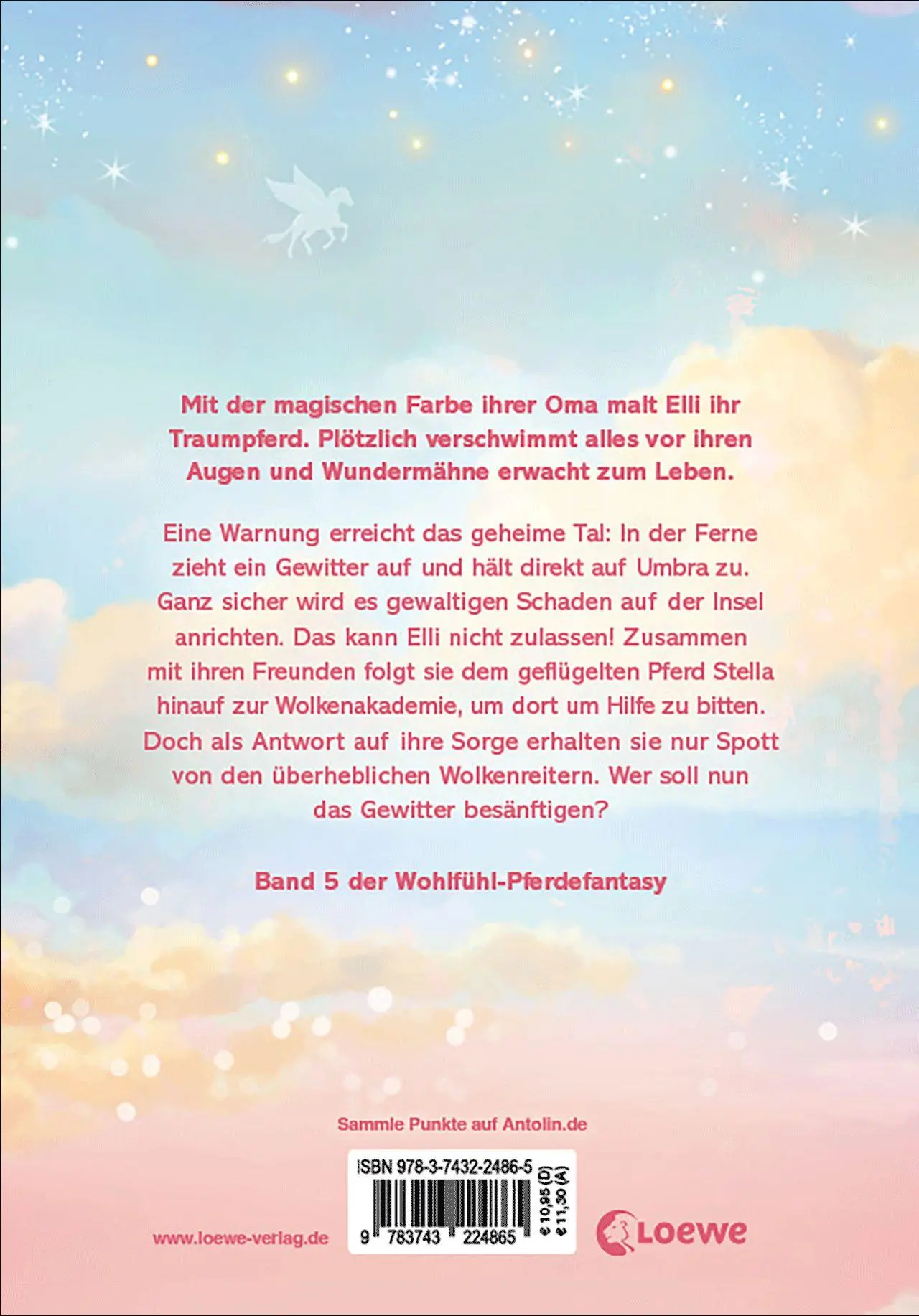 Bild: 9783743224865 | Wundermähne (Band 5) - Die geheimnisvollen Wolkenpferde | Jana Hoch