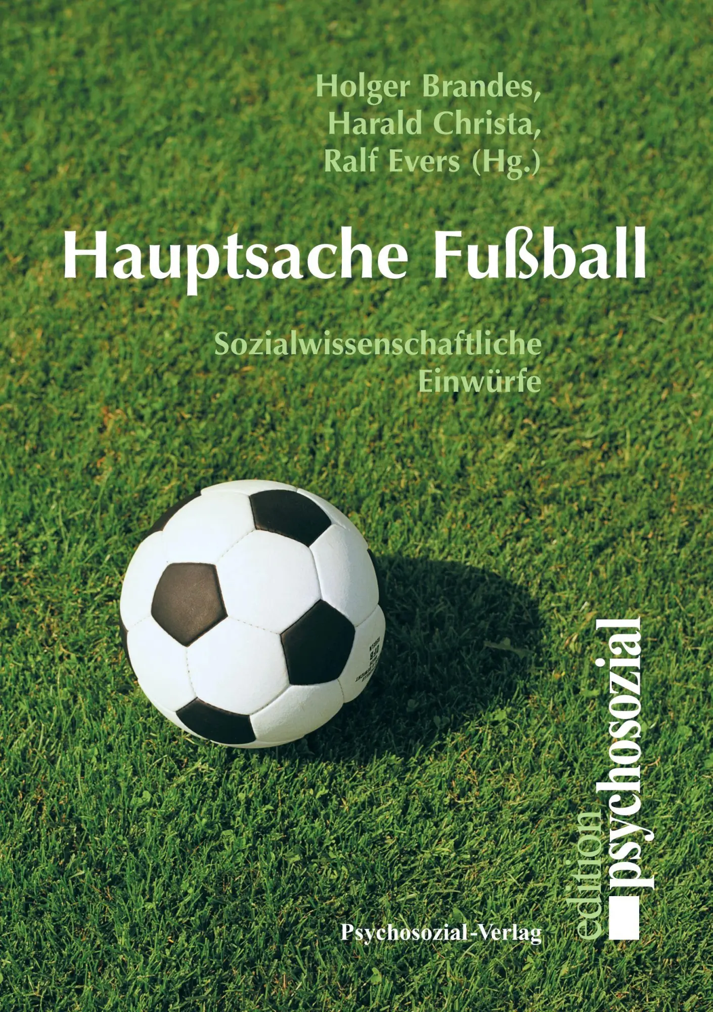 Cover: 9783898064965 | Hauptsache Fußball | Holger Brandes (u. a.) | Taschenbuch | 263 S.
