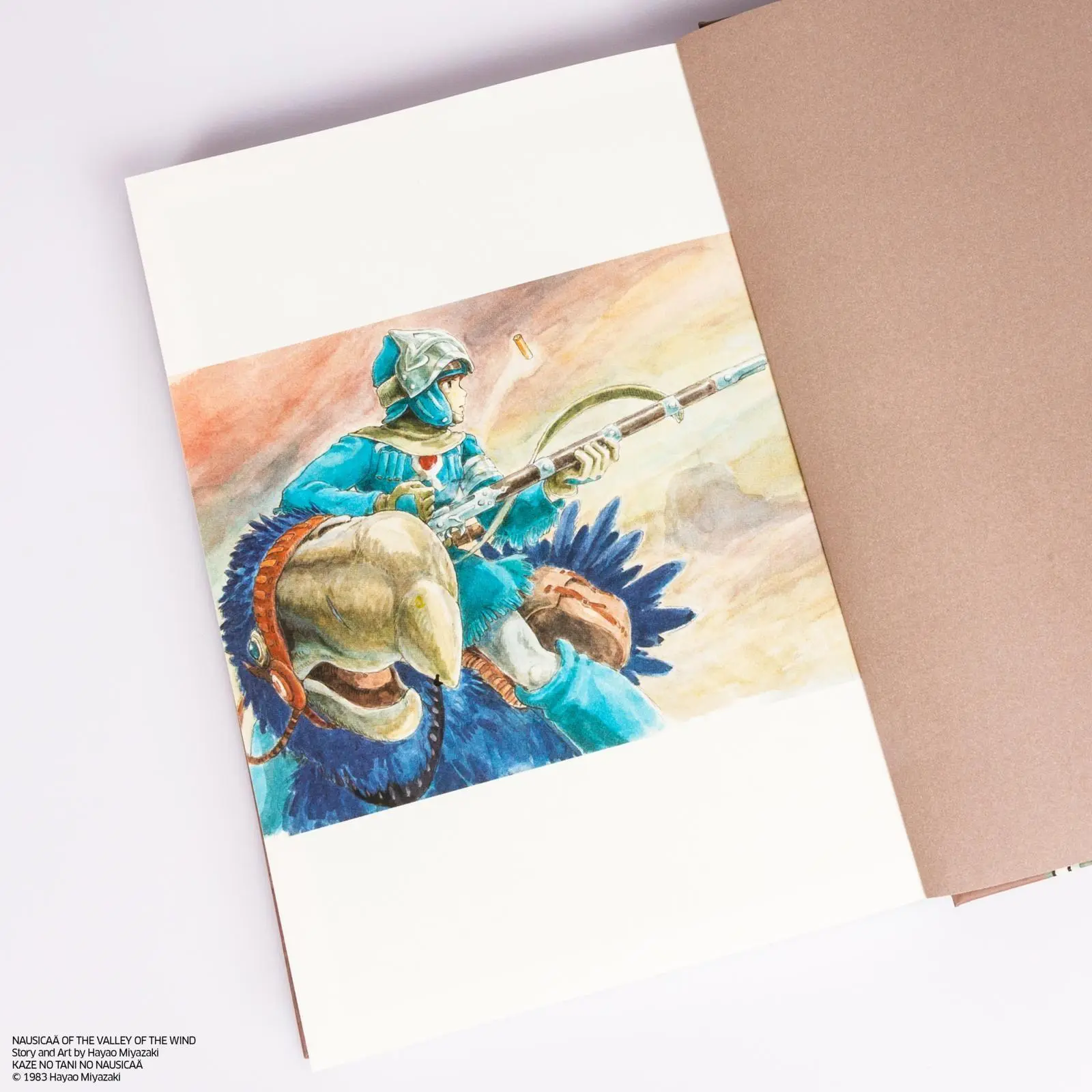 Bild: 9783551805065 | Nausicaä aus dem Tal der Winde: Doppelband-Edition 2 | Hayao Miyazaki