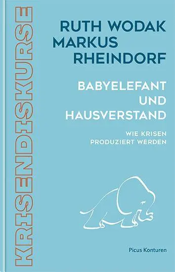 Cover: 9783711735065 | Babyelefant und Hausverstand | Wie Krisen produziert werden | Buch