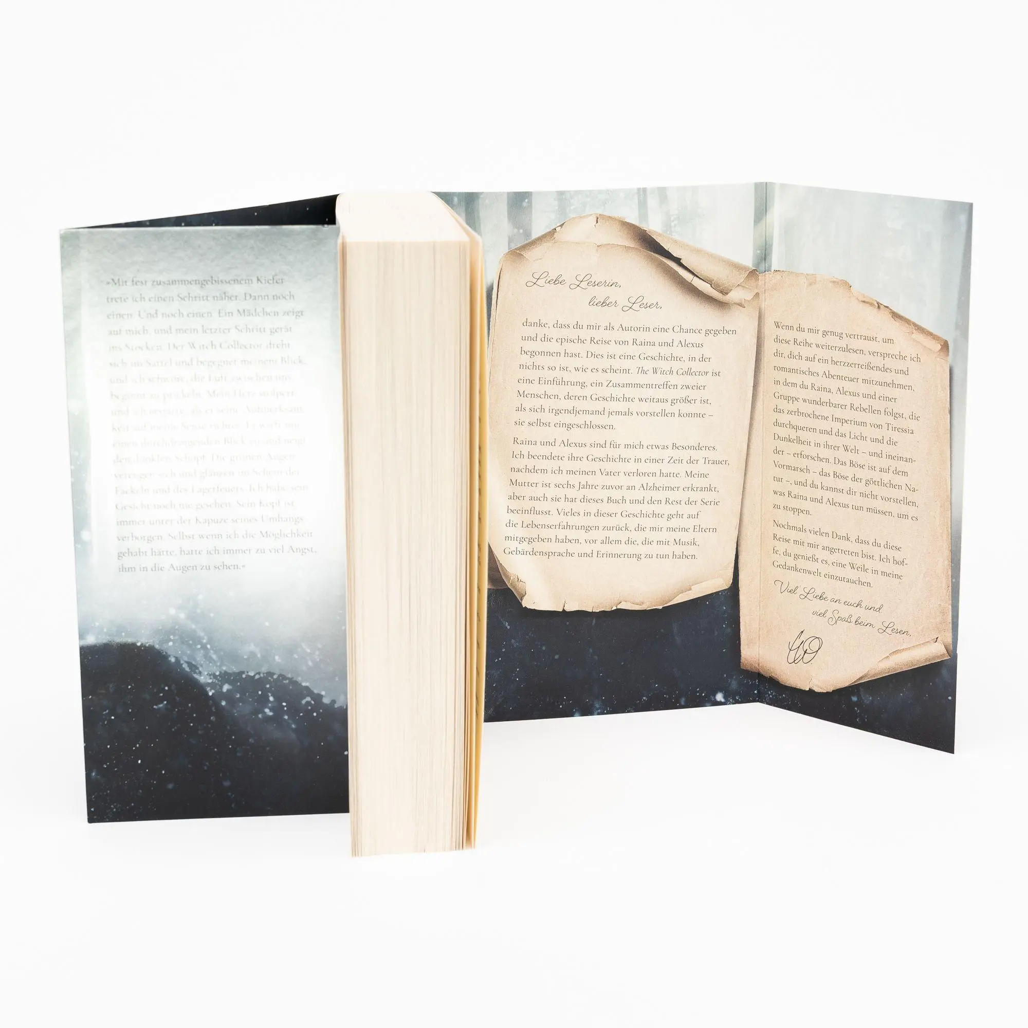 Bild: 9783745705065 | The Witch Collector | Charissa Weaks | Taschenbuch | Witch Walker
