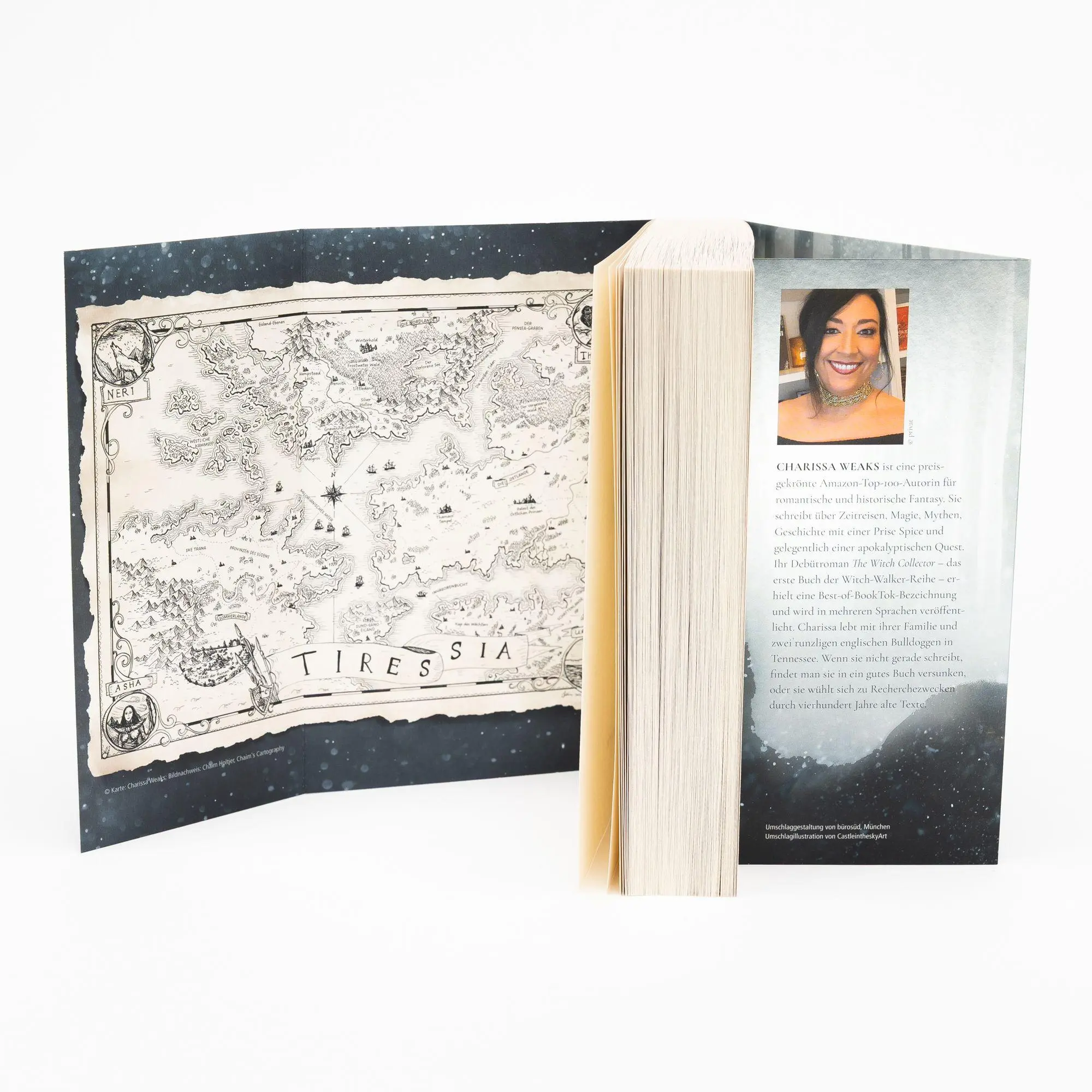 Bild: 9783745705065 | The Witch Collector | Charissa Weaks | Taschenbuch | Witch Walker