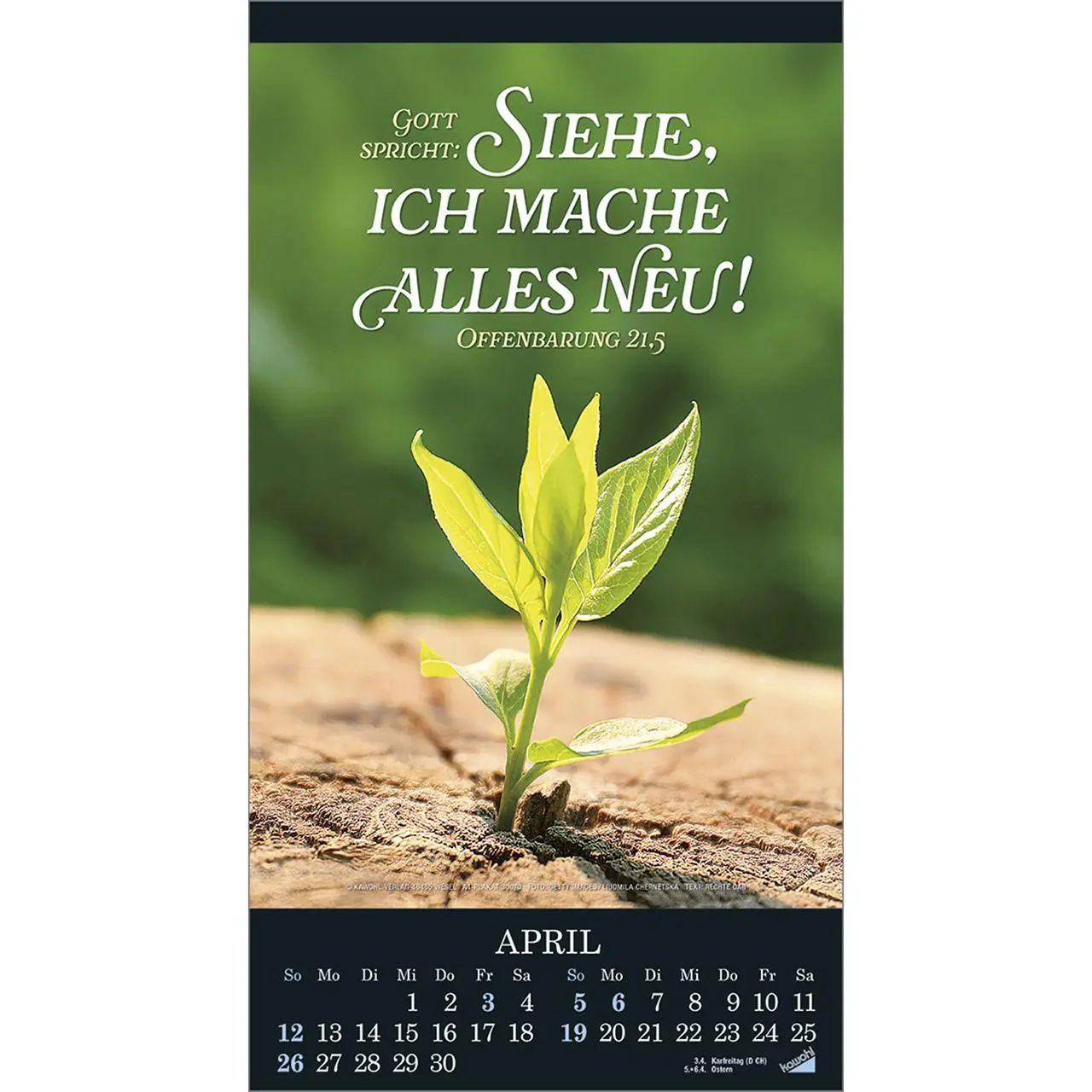 Bild: 9783754855065 | Die Wunder deiner Werke 2026 | Besinnungskalender | Kalender | 14 S.