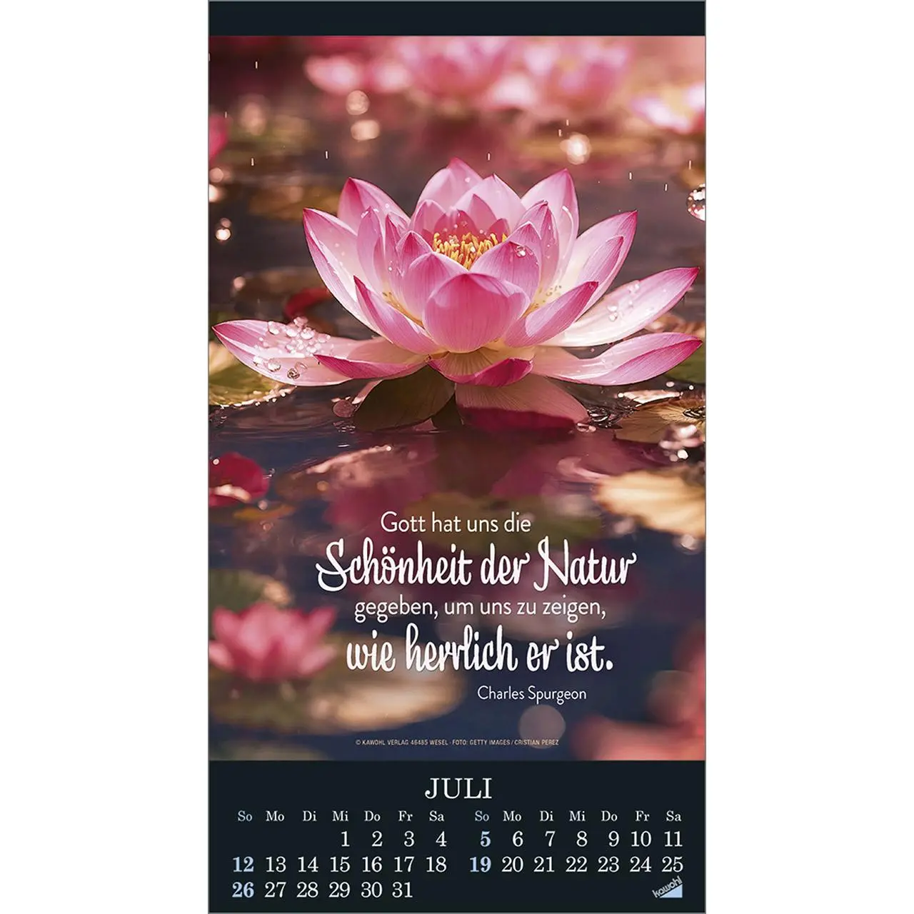 Bild: 9783754855065 | Die Wunder deiner Werke 2026 | Besinnungskalender | Kalender | 14 S.
