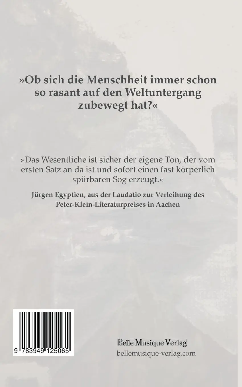 Rückseite: 9783949125065 | DAS SCHNEEVERBRANNTE DORF | Roman | Sibylle Schleicher | Taschenbuch