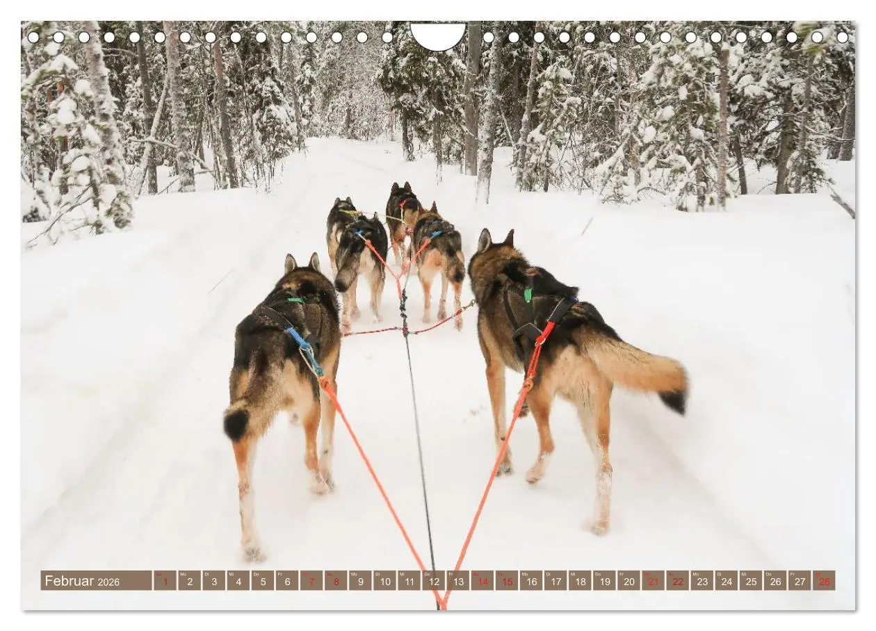 Bild: 9783516235265 | Finnisch Lappland (Wandkalender 2026 DIN A4 quer), CALVENDO...