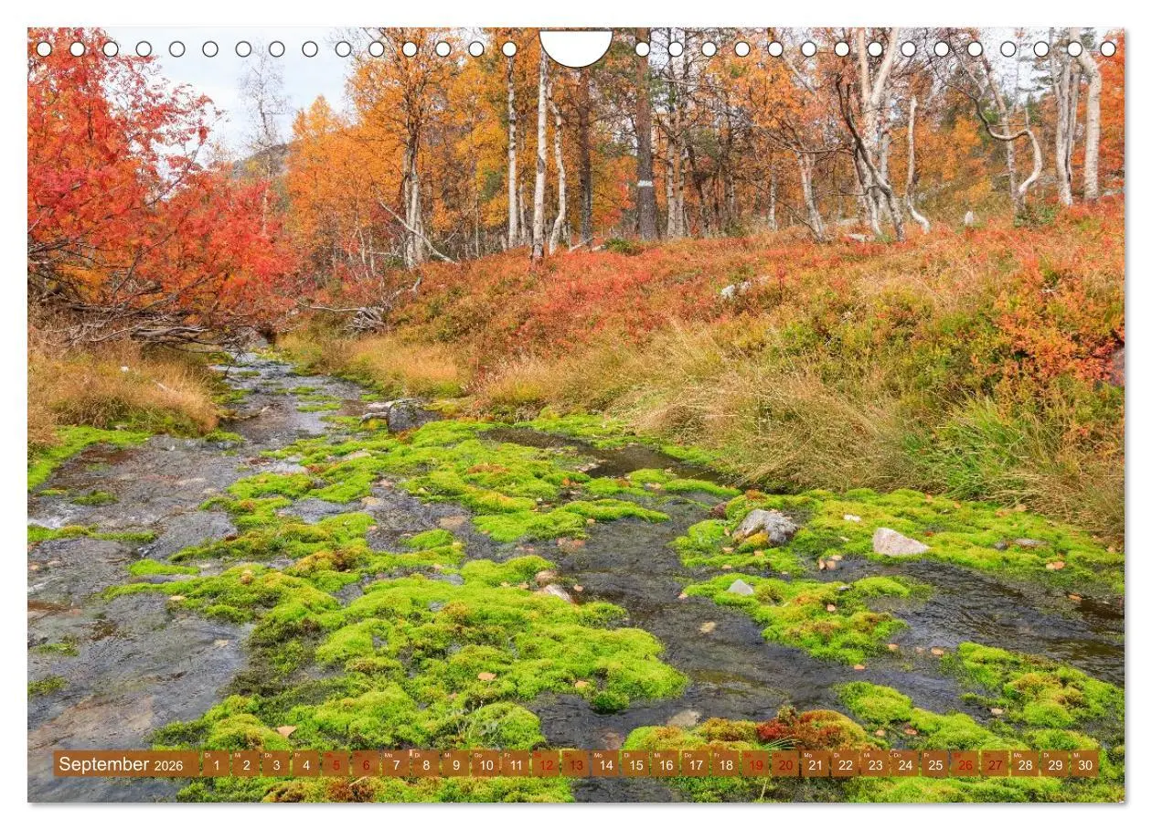 Bild: 9783516235265 | Finnisch Lappland (Wandkalender 2026 DIN A4 quer), CALVENDO...