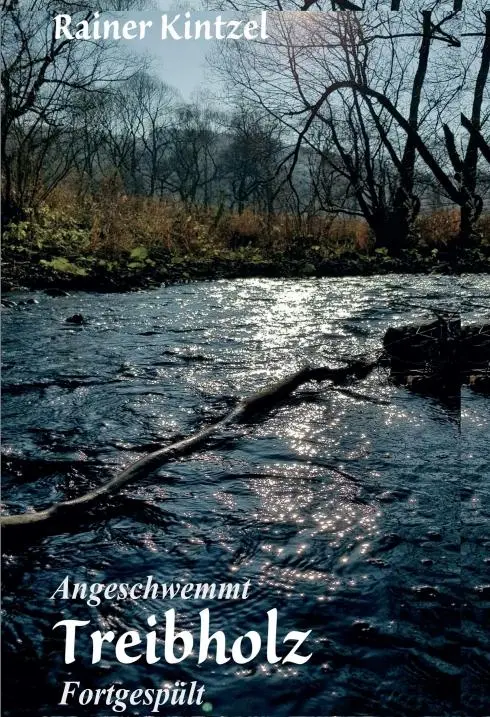 Cover: 9783748205265 | Treibholz | Rainer Kintzel | Buch | Teil 1 | 404 S. | Deutsch | 2019