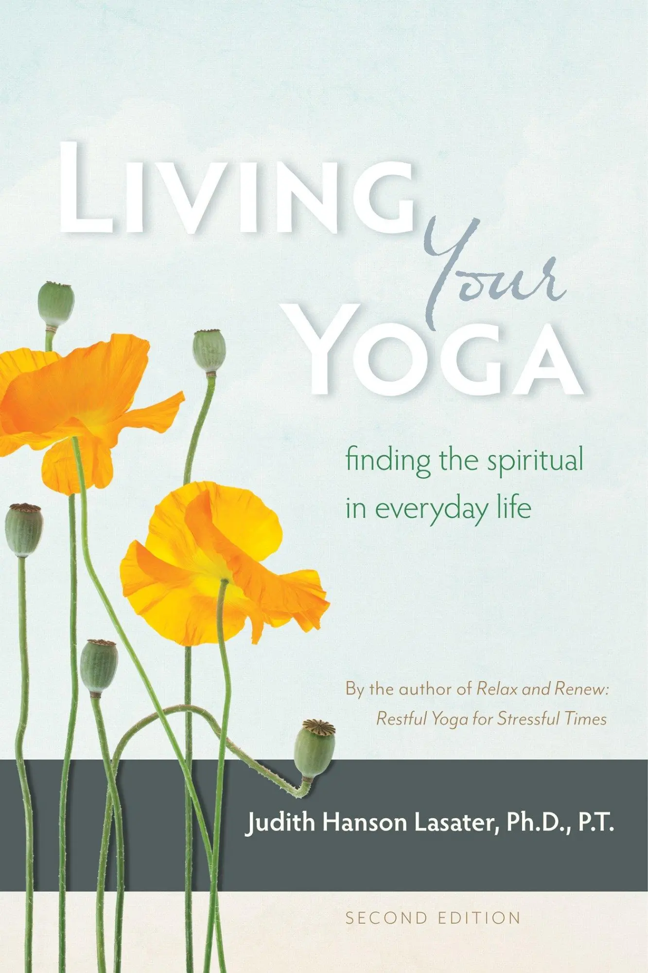 Cover: 9781930485365 | Living Your Yoga | Finding the Spiritual in Everyday Life | Lasater