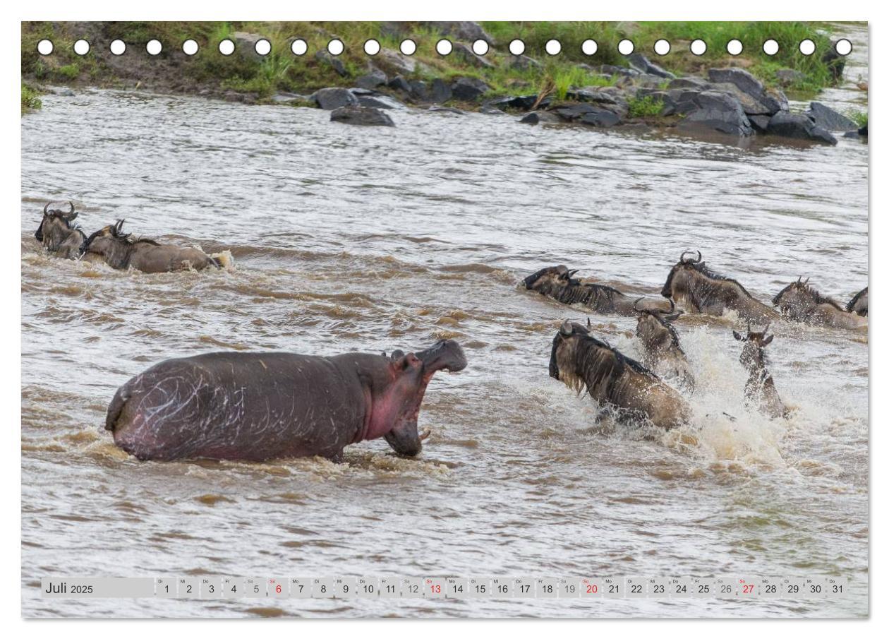 Bild: 9783435735365 | Emotionale Momente. Happy Hippo / CH-Version (Tischkalender 2025...